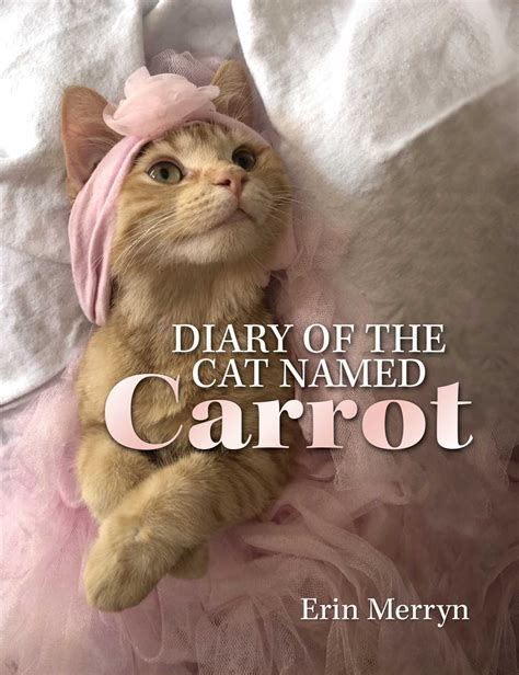 Book Review Diary Of The Cat Named Carrot By Erin Merryn Aishahs