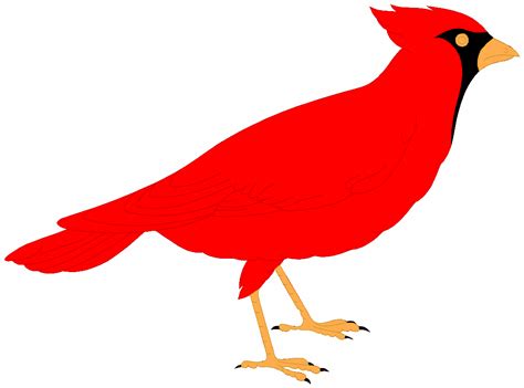 Free Cartoon Cardinal Bird Download Free Cartoon Cardinal Bird Png