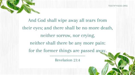 Reflection On Revelation 214 No More Tears In Heaven Tears In