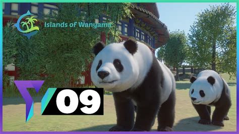 Giant Panda Habitat Islands Of Wanyama Lets Play Planet Zoo Ep 09