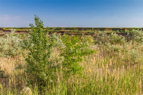 Ukrainian Steppe In The Spring Stock Photo Image Of Terrain Grass