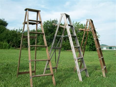 Some ladders are used for single task and some are used for multipurpose. 6 Step Vintage Wooden Step Ladders for Decorating