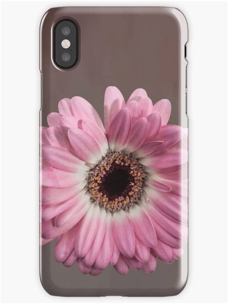 Gerbera Iphone Cases Beautiful Florals From Sara Sadler Photography