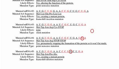 genetic code worksheet pdf answer key