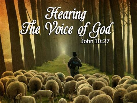 John 1027 My Sheep Hear My Voice And I Know Them And They Follow Me
