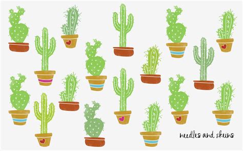 Cactus Desktop Wallpapercactusflowerpotplanthouseplantbotany