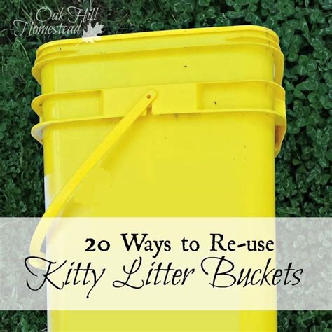20 Ways To Re Use Kitty Litter Buckets Tidy Cat Litter Reuse