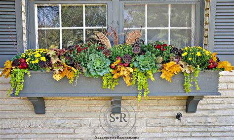 This lush window box includes variegated coleus, million bells (a cousin of petunias that produces smaller flowers), vinca, and asparagus fern. Serendipity Refined Blog: Fall Window Box Planter