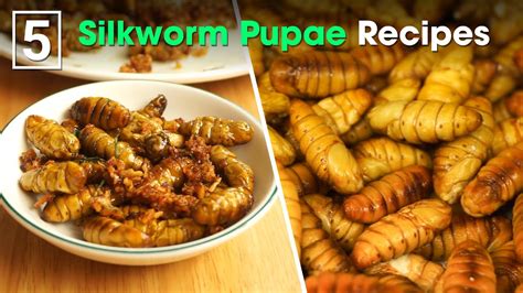 5 Popular Simple Silkworm Pupae Recipes Insect Dishes Ohtasty Youtube