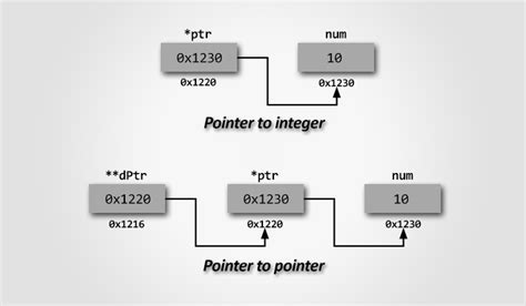 Pointer Programming Exercises And Solutions In C Codeforwin
