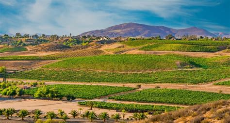 14 Amazing Temecula Wineries You Must Visit If You Are A Wine Lover