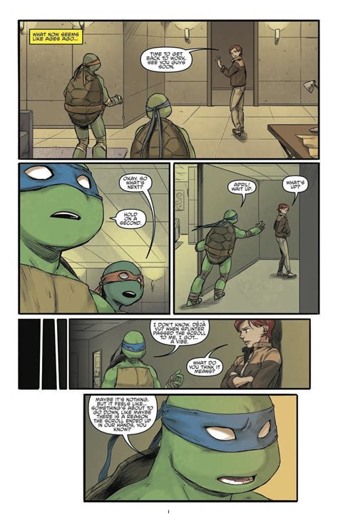 Teenage Mutant Ninja Turtles Casey And April 4 Comix Asylum