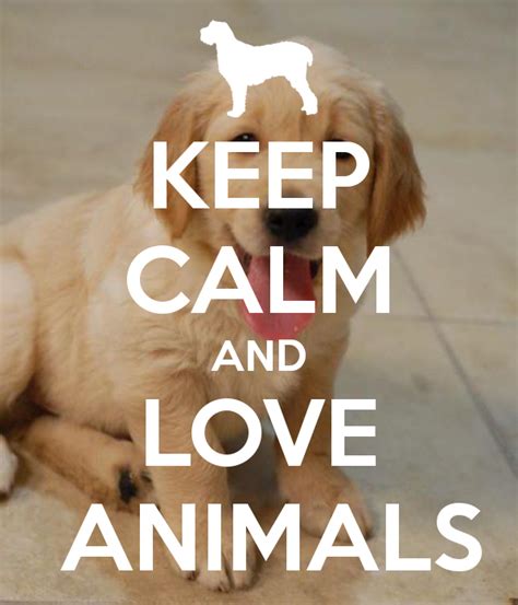 Keep Calm And Love Animals Keep Calm Posters Keep Calm Quotes Yorkies