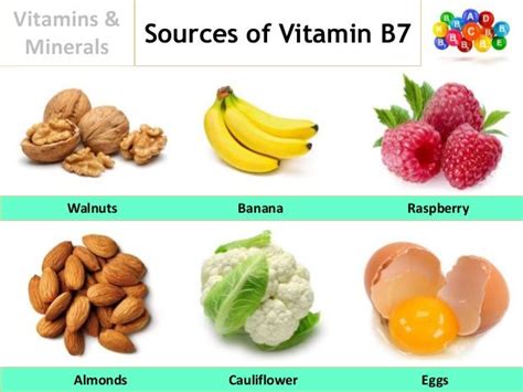 Sources Of Minerals In Food