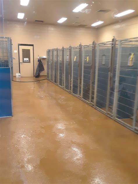 HALL COUNTY ANIMAL SHELTER - 1688 Barber Rd, Gainesville GA 30507