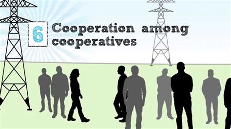 Cooperative Examples Of Businesses