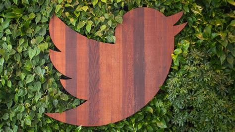 Twitter May Follow Facebooks Lead And Spam Feeds With Video Ads