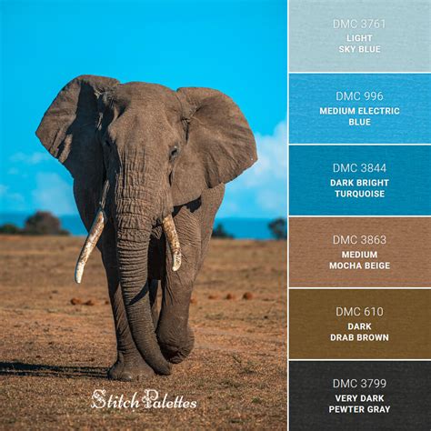 Earth Brown Sky Blue Embroidery Color Palette With Thread Codes