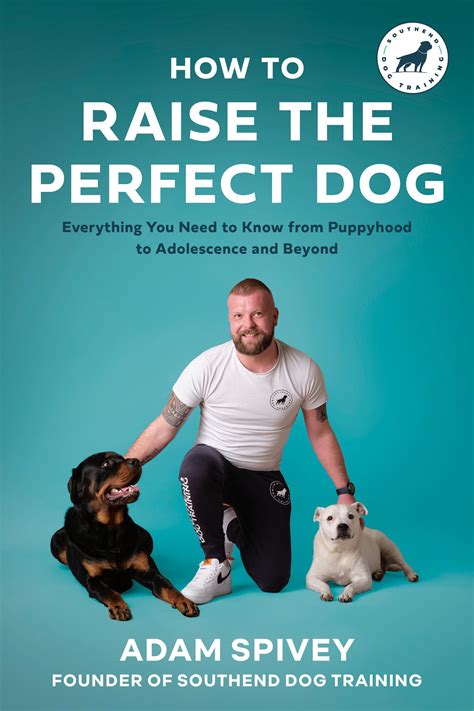 How to Raise the Perfect Dog: Everything You Need to Know from