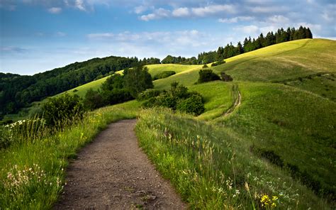 Field (agriculture), an area of land used for agricultural purposes. Path Green Fields Wallpapers | HD Wallpapers | ID #14274