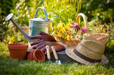 Preparing Your Garden For Spring Heres How You Should Do It A Very