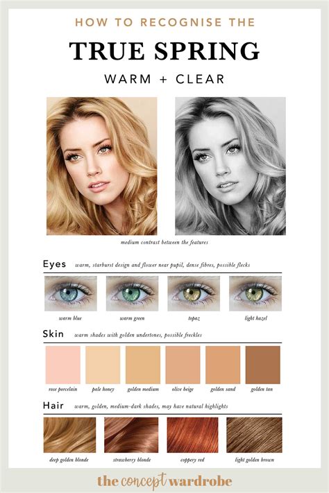 How To Recognise The True Spring True Spring Color Palette Spring