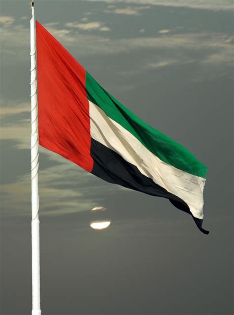 We did not find results for: التراث وتاريخ الإمارات: قصة علم الإمارات