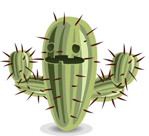 Cactus Png Clipart 39161 Free Icons And Png Backgrounds