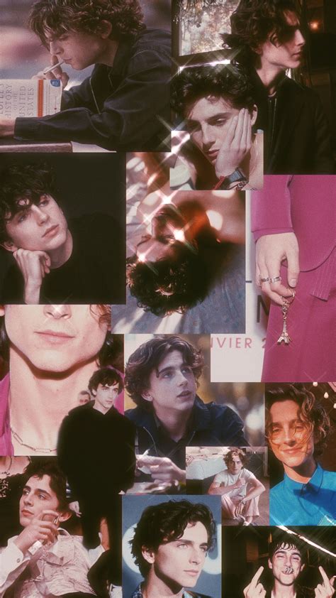 We did not find results for: timmy t in 2020 | Timothee chalamet, Mood wallpaper, Timmy t