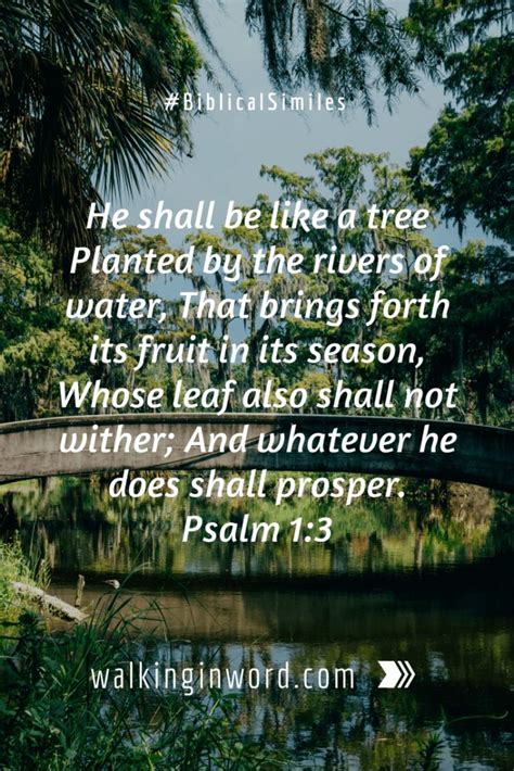 Biblical Simile Like A Tree Planted By The Rivers Of Water Trees To