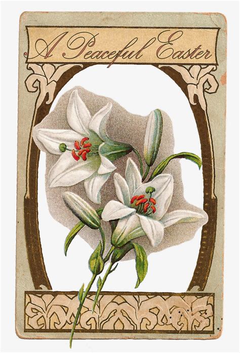 Antique Images Free Printable Digital Easter Greetings With White Lily