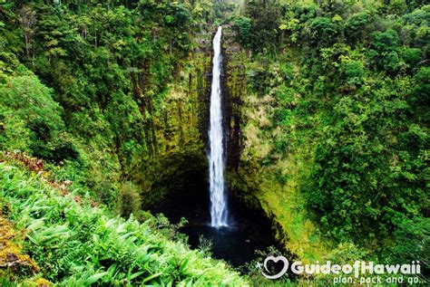 Akaka Falls State Park Photos And Directions