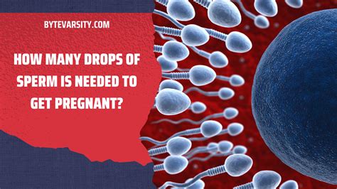 How Many Drops Of Sperm Is Needed To Get Pregnant Bytevarsity