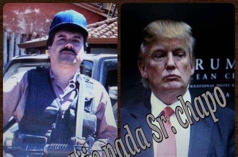 Memes En Redes Sociales De La Fuga Del Chapo Guzmán De Este Sábado