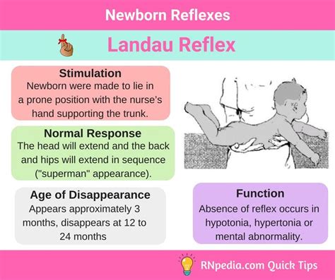 Newborn Reflexes Rnpedia Newborn Nursing Newborn Reflexes