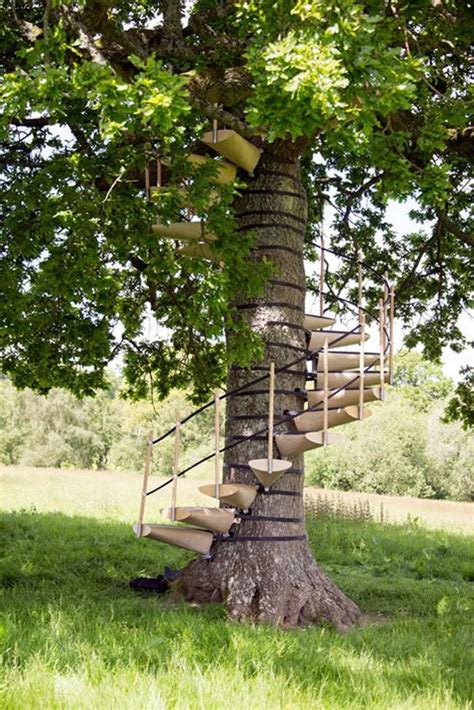 Strap This Spiral Staircase Onto Any Tree No Tools Needed Cool Tree