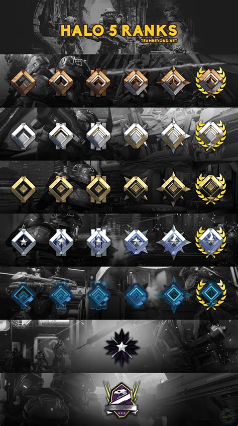 All The Rank Medals In One Place X Post From Rhalo Rcompetitivehalo