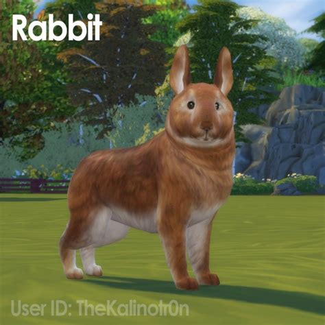 Chinchilla And Rabbit At Kalino Sims 4 Updates