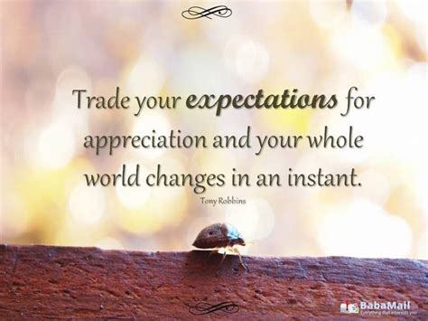 10 Quotes About Appreciation