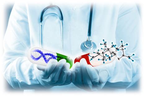 Biocam Biocam A Translational Medicine Model For The Development Of