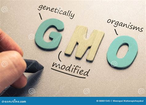 Gmo Stock Image Image Of Letters Healthy Hand Idea 88801545