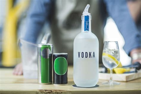 11 Things You Should Know Before You Drink Vodka Ever Again Gin Vs