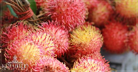 Tamu kota belud is a sunday market with a colorful mix of vendors, farmers, fishermen, and cattle breeders from the region. Parang Bajau: SEKITAR TAMU BESAR KOTA BELUD 2011