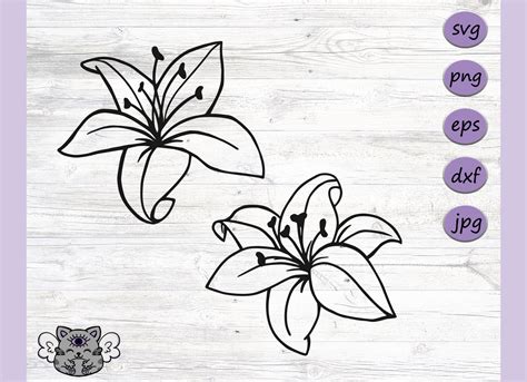 Lily Flower Cut File Lily Svg Lily Clipart Lily Stencil Etsy