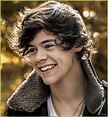 Harry Styles 2013 - One Direction Photo (35852324) - Fanpop