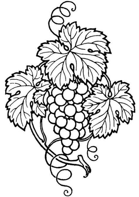 grape vine coloring pages fruit coloring pages embroidery patterns coloring pages