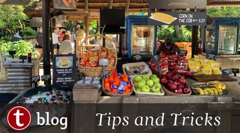 Find the least busy days to visit. Where to Find Fresh Fruit at Walt Disney World - TouringPlans.com Blog