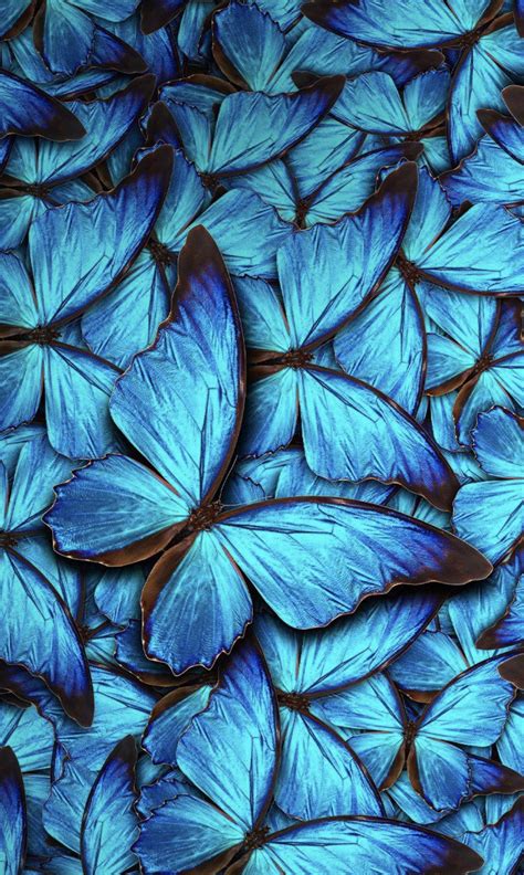 Aesthetic Blue Butterfly Wallpaper