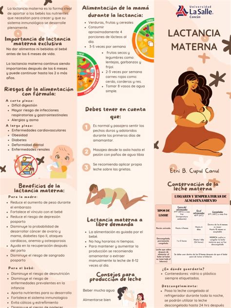 triptico lactancia materna pdf
