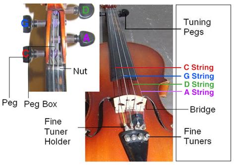 How To String A Viola Get